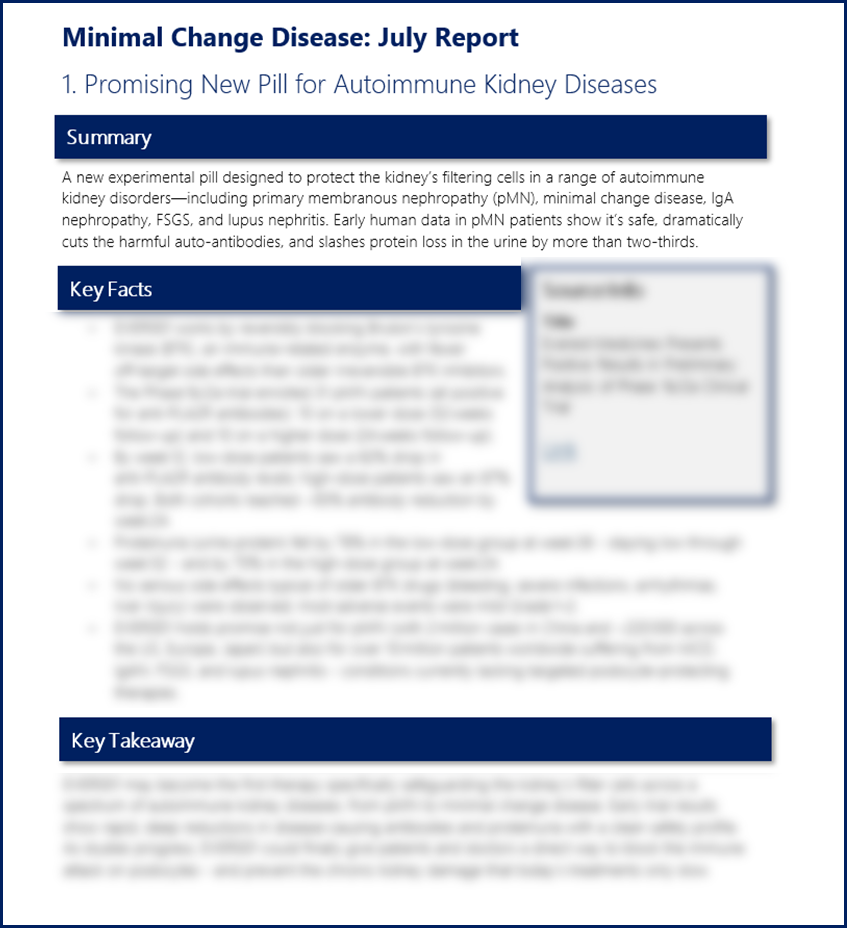 Preview Report